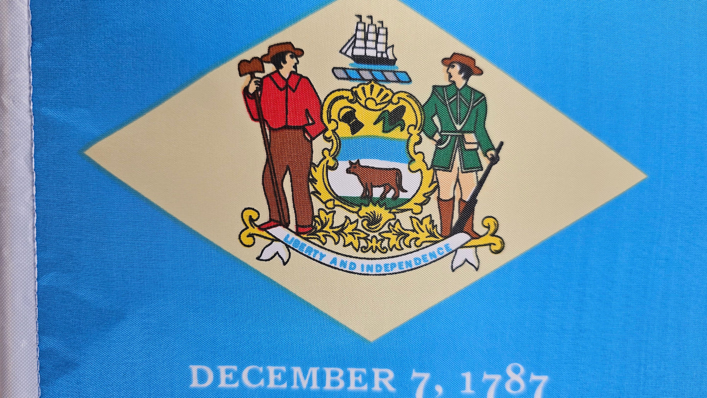 Delaware State Flag System