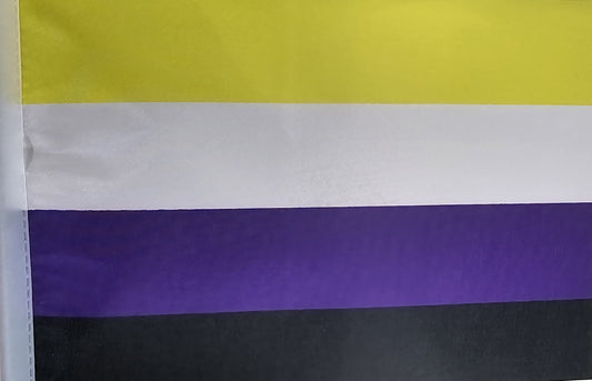 Nonbinary Pride Flag System - 2014